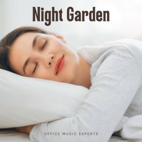 Download track Sleep Music For Stress Relief Deep Sleep Music Zone