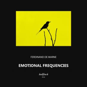 Download track Willingness Ferdinand De Marne