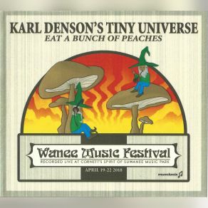 Download track Ain't Wastin' Time No More Karl Denson's Tiny Universe