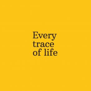 Download track Every Trace Of Life Sad Music