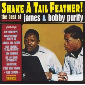 Download track Shake A Tail Feather Bobby & James Purify