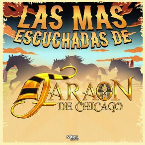 Download track No Es Amor Faraon De Chicago