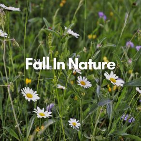 Download track Nature Rain, Pt. 6 Soft Soundscapes