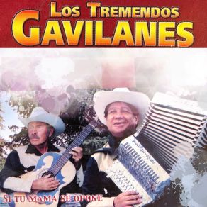 Download track Eternamente Los Tremendos Gavilanes