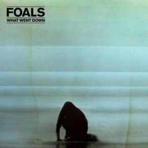 Download track Birch Tree Foals