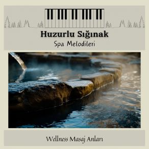 Download track Spiritüel Masaj Wellness Masaj Anları