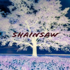 Download track Add Shainsaw