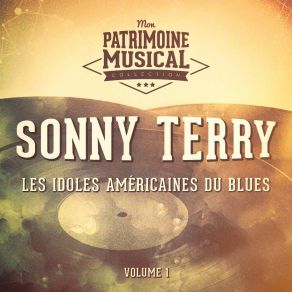 Download track Custard Pie Sonny Terry