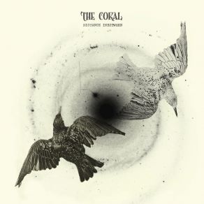 Download track Million Eyes The Coral