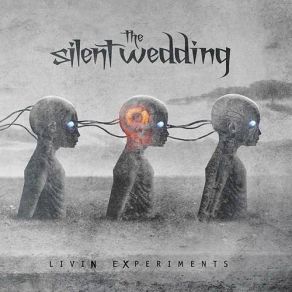 Download track In Vitro The Silent Wedding