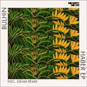 Download track Haber (Gemm Remix) Bulhin