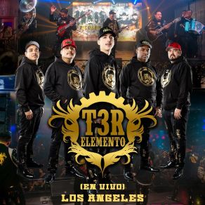 Download track Sin Ti (En Vivo) T3r ElementoHijos De Leyva