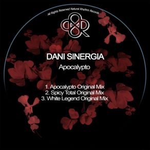 Download track Spicy Total Dani Sinergia