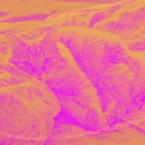 Download track Mind-Blowing Music For Dream Calm Cat Music