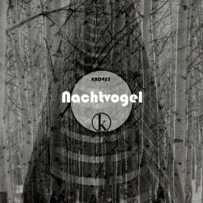 Download track The Fear Of The Truth (Original Mix) Nachtvogel