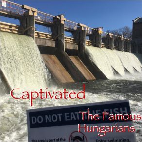 Download track Fake Blonde The Famous Hungarians