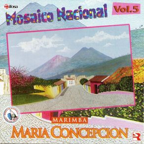 Download track Mosaico Nacional Vol. 5: Que Chorchita / San Juan Ostuncalco / Maria Elena / Brenda Lorena / Maricumbia / Fracaso De Amor / Danzón / De Madrugada / La Matraquita / La Fiesta De Mi Pueblo Marimba Maria Concepcion