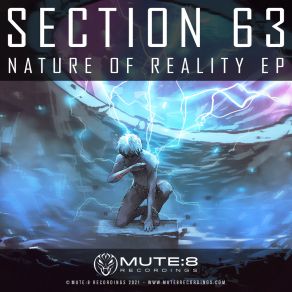 Download track Nature Of Reality (Original) Section 63