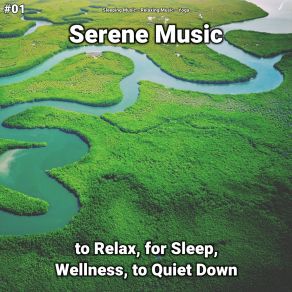 Download track Calm Music Sleep Aid Yoga