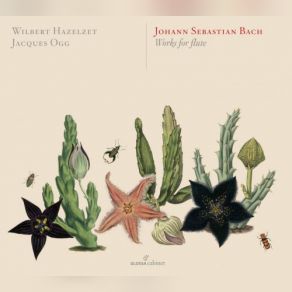 Download track Cello Suite No. 3 In C Major, BWV 1009 (Arr. W. Hazelzet For Baroque Flute): V. Bourrées I & II Wilbert Hazelzet, Jacques Ogg