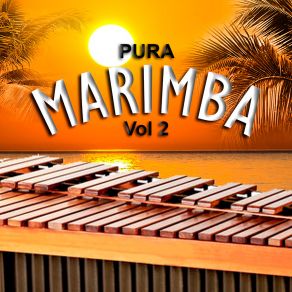 Download track Medio Marimba Juárez