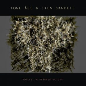 Download track Materiality Sten Sandell, Tone Åse