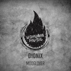 Download track MoogLover (Original Mix) Dyonix