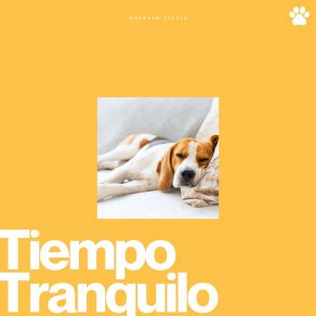 Download track Seagull's Sprig Zona De Relajación Para Perros