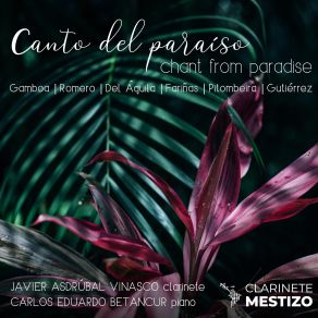 Download track Pacific Serenade: IV. Recitando Javier Vinasco