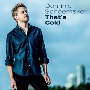 Download track Don't Need Your Love No More Dominic Schoemaker