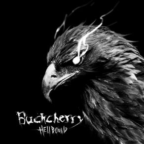 Download track Wasting No More Time Buckcherry