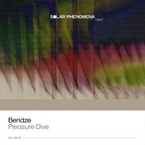 Download track Pleasure Dive (Original Mix) Beridze