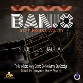 Download track Do You Wanna Say Goodbye Soul Des Jaguar