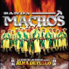 Download track La Roncona Banda Machos