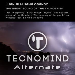 Download track The Delicate Sound Of The Thunder (Original Mix) Juan Alminana Obando