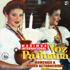 Download track Cuando Cae La Lluvia Marimba Internacional Voz Paduana