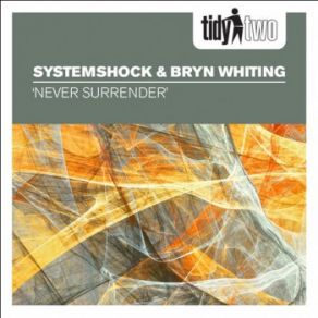 Download track Never Surrender (Radio Edit) System Shock, Bryn Whiting