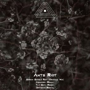 Download track Ants Riot (Tav Shvi Remix) Sergio Sotelo ReyTav Shvi