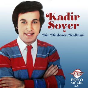 Download track Ayrılık Getirdi Düşen Yapraklar Kadir Soyer