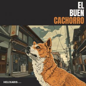 Download track Beachfront's Builders Perritos Fantásticos