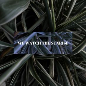 Download track We Watch The Sunrise Jelmer Traaug