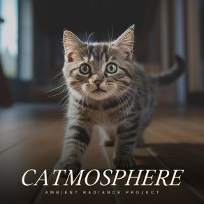 Download track Seven Stories By Campfire Light Music For Cats