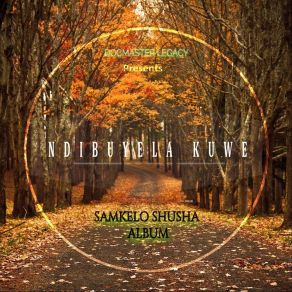 Download track Sumfanisa Nam Samkelo Shusha