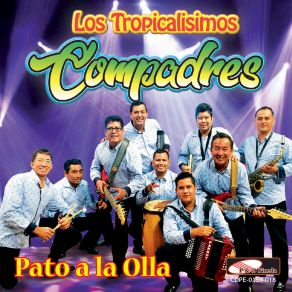 Download track Amor Comprado Los Tropicalisimos Compadres