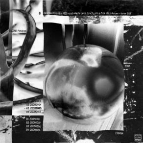 Download track ZOOM0015 Cucina Povera