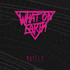 Download track Mayfly WHAT ON EARTH