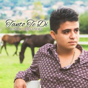 Download track Te Llevare Serenata Junior Hernandez