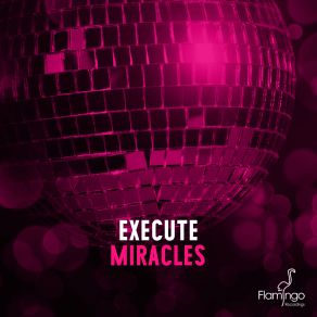 Download track Miracles (Original Mix) Execute