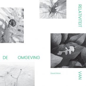 Download track Reflectie In De Schemering David Edren