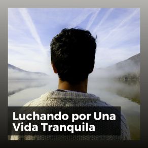 Download track Luz Blanca Música De Relajación Profunda